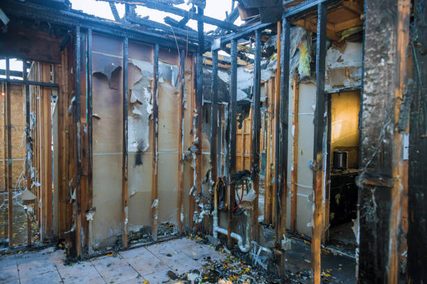 Professional Smoke Damage Removal technician working in Black Diamond, FL