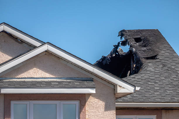 Top rated local Smoke Damage Removal specialists in Black Diamond, FL
